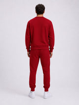 Tiger of sania Luxury Tracksuit